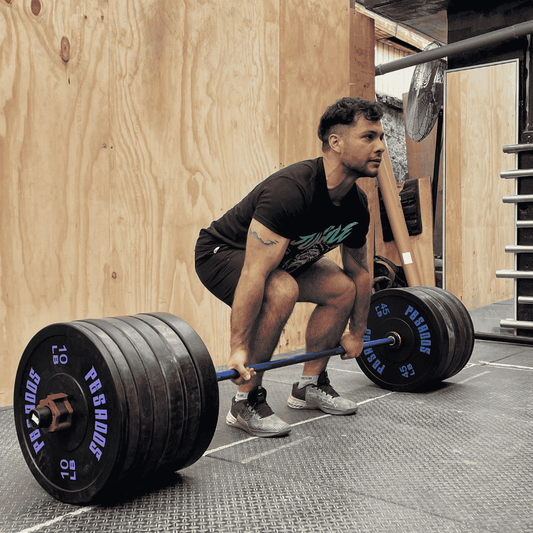 Bumper plates 45 LB (par)