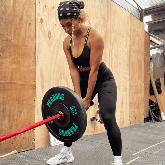 Bumper plates 25 LB (par)