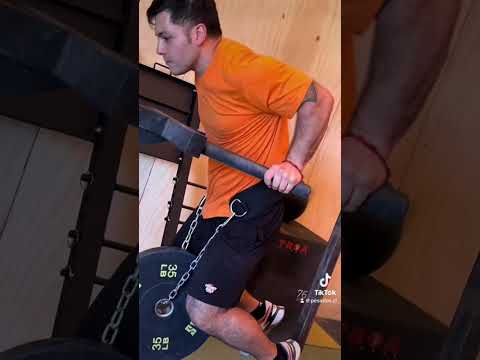 Weightlifting Dip Belt PESADOS